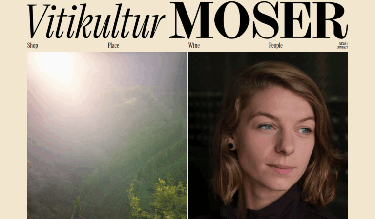 SEO Linz 18 Vitikultur Moser Homepage