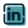 Social Media Agentur 10 icons8 linkedin 100